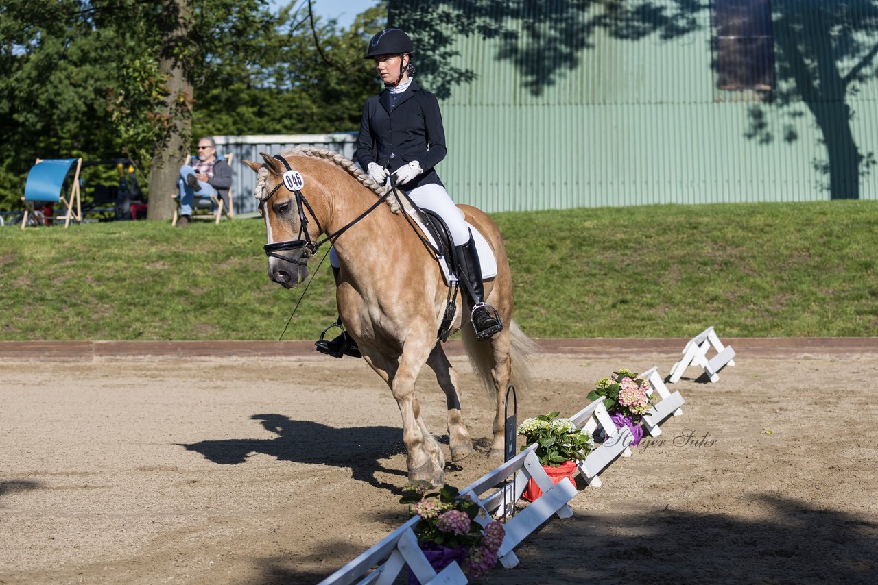 Bild 103 - Pony Akademie Turnier